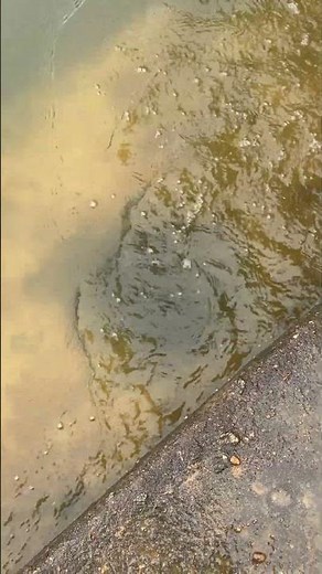 Reservoir Drain Operation Demo, Easy to Learn