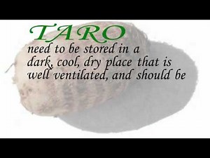 Buying and Storing Taro