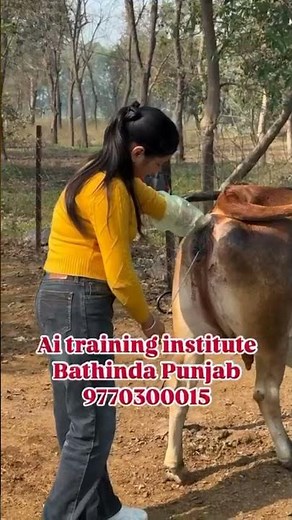 "Artificial Insemination Course for Farmers | Govt. Certified Institute"