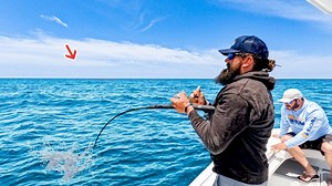 208K views · 2.3K reactions | Dropping calamari for tasty offshore fish! | Bearded Brad | Facebook