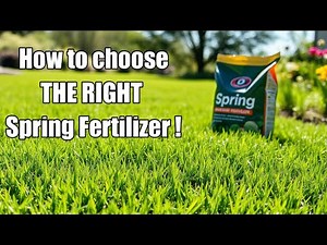 How to Choose the Right Fertilizer for Spring – Formula Explained