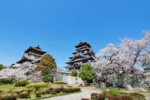 伏見桃山城運動公園（アクセス・マップ・見どころ・概要・・・）