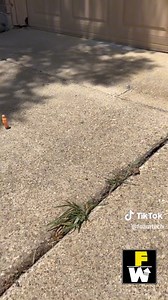 Polyurethane Foam is a long lasting solution to LIFT Sunken Concrete! Save your hard-earned money, valuable time, and the headache of constant replacements. Choose a smarter way to uplift your surfaces! Call 972-499-6393 or Visit https://foamworkspro.com/residential-services/concrete-driveway-repair-services/ for a FREE QUOTE!! | FoamWorks | Facebook