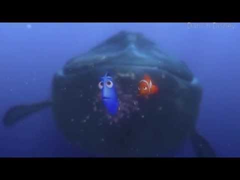 Finding Nemo - Speaking Whale (Danish | HD)