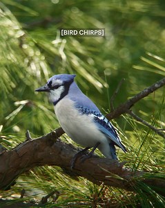 65 reactions · 75 shares | Accidents are unexpected. But it's unexpectedly easy to submit photos for your car damage estimate in the TD Insurance app. | TD Insurance | Facebook