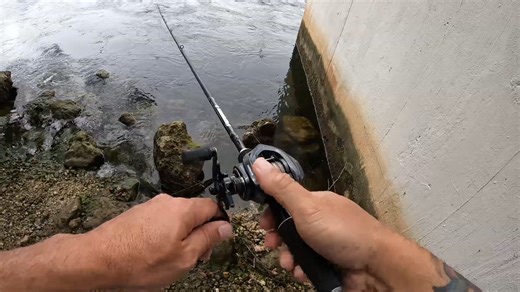 Can budget Amazon lures land big fish on a pro reel?