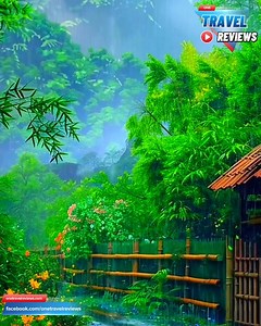 202K views · 10K reactions | 李 | One travel reviews | Facebook