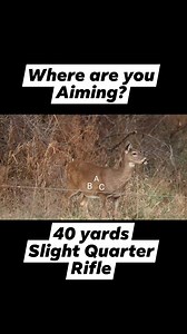 Shot Placement Wednesday! #new #reels #shootingpractice #archeryhunting #riflehunting #deer #deerhunting | KOAM Outdoors LLC