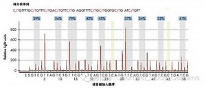 PyroSequencing—DNA甲基化分析的金标准