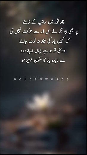 #quotes
