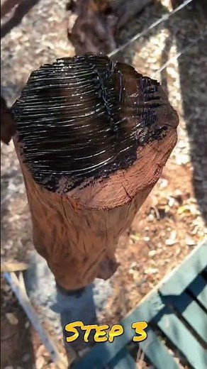 5 steps to prep a log for fence/gate posts!