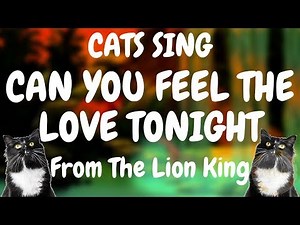 Cats Sing Can You Feel The Love Tonight from The Lion King | Cats Singing Song