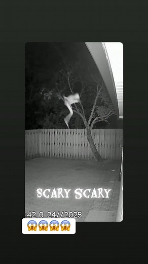 #scary alien caught in cctv footage | Lotlot Mabini