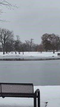 Snowy scenes of Moline's Riverside Park