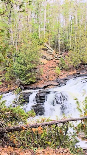 Jenn Saucier-Berninger on Reels