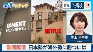 Japanese Streaming Services Struggle Against Netflix