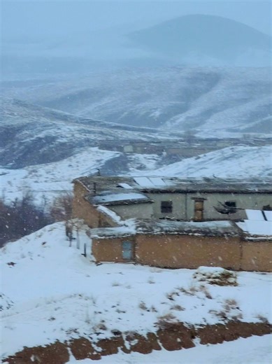 Exploring the Beauty of Snow in Green Muslim Bagh