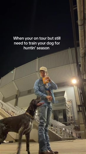 Train Your GSP for Hunting Season: Commands & Tricks