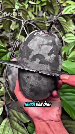 Người đàn ông tìm quả dại và nước rừng #shorts