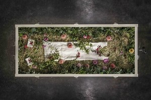 Immediate Need Funeral | Human Composting - Return Home