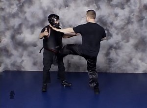 Combat Sanshou 4: Tiger and Snake