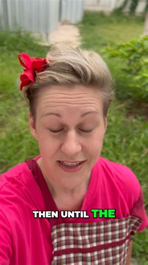 32K views · 714 reactions | 24 Life's Journey #clarke #fblifestyle | Clarke_Dozen | Facebook