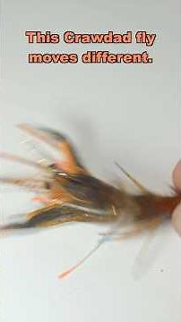 The Crawl Daddy Crawfish Fly (Insane Underwater Action)