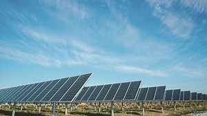 What's the CO2 impact of an Ecosia search?