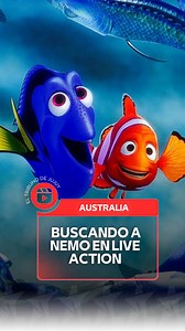 😍Un pez payaso y un pez cirujano azul fueron grabados nadando juntos como si fueran viejos amigos. 🐠✨ Igualitos a Marlín y Dory de Buscando a Nemo. Se dice que esto ocurrió en Australia y si alguna vez te preguntaste cómo se vería un live action, probablemente sería algo así. #buscandoanemo🐠 #viral_video | El Tribuno Jujuy
