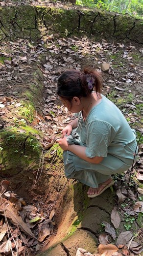 Mengairi daun kering