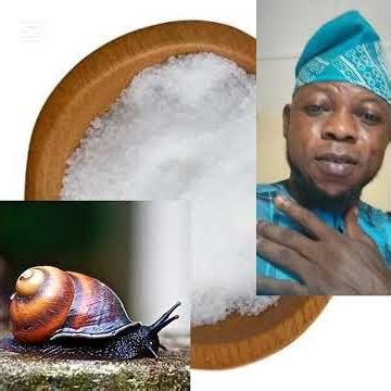 EBU OGUN OKIGBE TODAJUPA TARA TESTED CONFIRM MANY TIMES #everyone