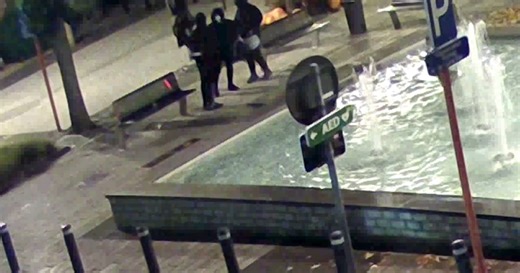 Gemeente op zoek naar drietal dat zeep in fontein goot