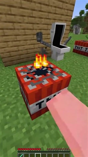 Brainrot Toilet Moment in Minecraft 💀 #minecraft #tnt #trending