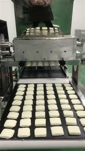 Computer Controlled PLC Cookies Making Machine - Wire cut / Contact Alina +86 175 3728 3021