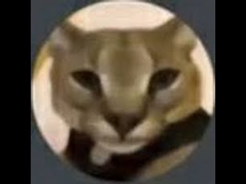 how to get jjsploit (tutorial)