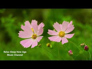 963 Hz Frequency of Gods | Pineal Gland Crown Chakra & Third Eye | Healing Music, Meditation Music