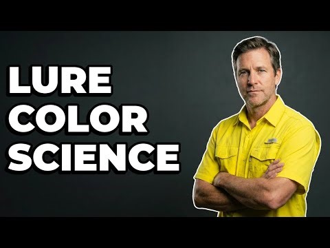 What Lure Color Is Visible In Low Light Conditions?