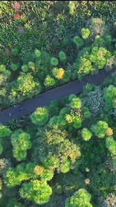 The Bay of Plenty is a great place to explore by bike! 🚴🏼‍♀️☀️ Celebrate Bike Month 2023 this February with a jam-packed calendar full of free cycling activities in Tauranga and the Western Bay of Plenty. Find out more here: https://bit.ly/3jsRFrw | Bay of Plenty NZ