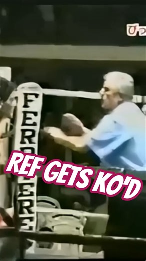 REF GETS KO'D BAD FAIL #viral #fail #shorts