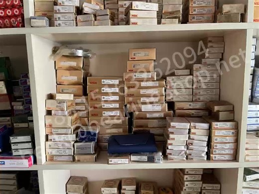 bearinglimited on TikTok