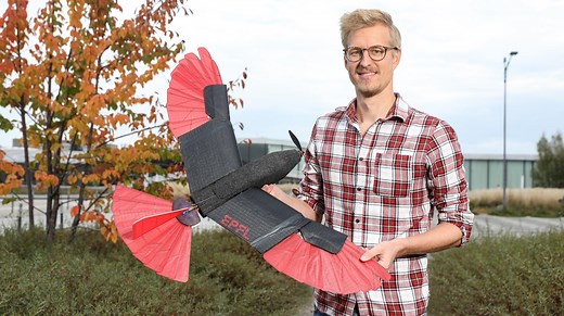 Raptor-inspired drone with morphing wing and tail