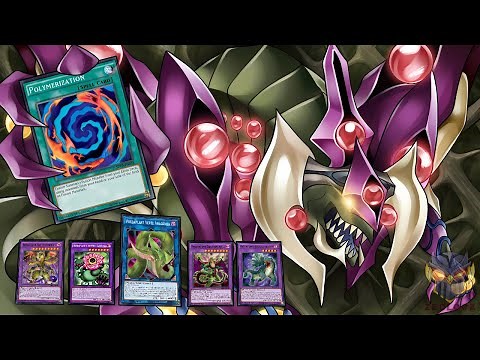 MY PURE PREDAPLANTS UPDATED! VS TOP TIER DECKS | YUGIOH! MASTER DUEL