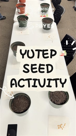 Pacoima Beautiful on Instagram: "Our second YUTEP session of the new year was a deep dive into the world of seeds. We explored the complexities of seed monopolization and its profound impact on Indigenous communities. Following the discussion, participants took action by creating handmade seed packets for our community library. Reminder: Our seed library is open to everyone—stop by during our hours of operation to pick up some seeds for your own garden! Interested in joining? YUTEP has open enro