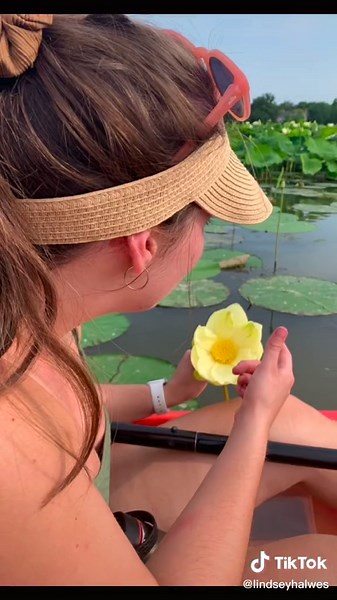 Lindsey Halwes (@lindseyhalwes)’s videos with Swing Lynn - Harmless