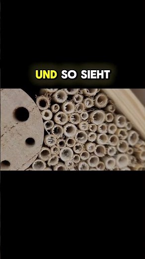 Gegen Schrotthotels | Bienenhotels selber machen