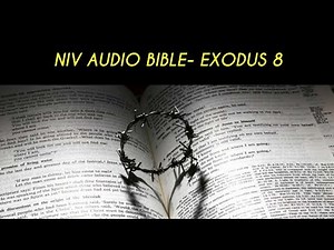 EXODUS 7 NIV AUDIO BIBLE (with text)