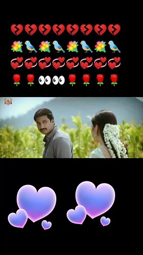 Heartfelt Moments in Nature: A Romantic Video