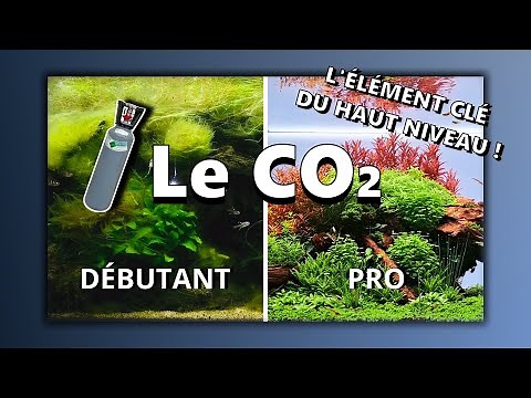 4) The COMPLETE CO₂ Guide for Aquariums (Beginners to Experts)