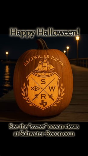 Happy Halloween from Saltwater-Recon.com! 👻 🌊✨ Whether you’re out trick-or-treating, cruising the coast, or staying cozy at home, our live webcams are keeping an eye on the spooky shoreline so you don’t have to. 👀🎥 From glowing seas to hauntingly beautiful sunsets — we’ve got your view of the Texas Gulf covered. 🧡💀 Check out the live feeds, share your costumes, and remember… even ghosts should Know Before They Go! 👻🌊 👉 www.Saltwater-Recon.com #HappyHalloween #TexasCoast #SaltwaterRecon 