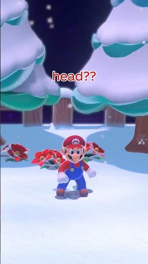 I wonder.. 🤔 #mario #sm3dw